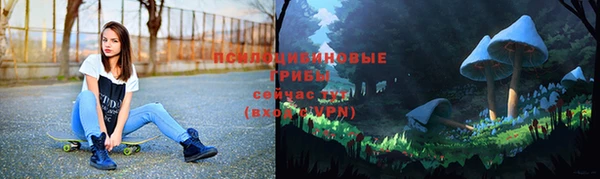стаф Алексеевка