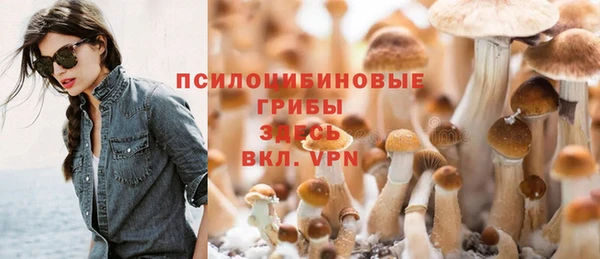 стаф Алексеевка